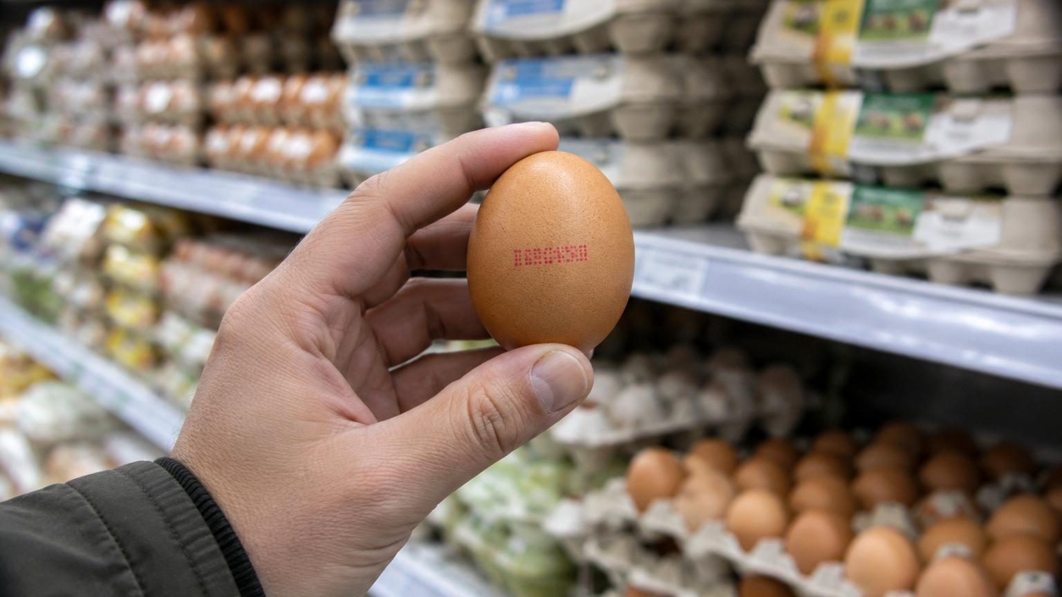 Œufs code 0 ou code 1 : ce que ce premier chiffre révèle vraiment sur la poule qui l'a pondu