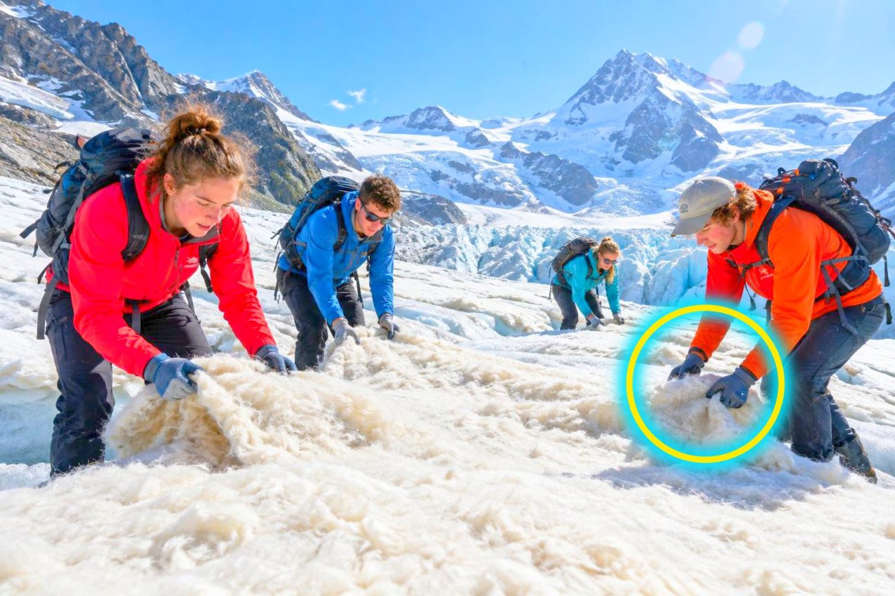 Quatre étudiants suisses recouvrent un glacier des Alpes avec de la laine de mouton : trois mois plus tard, la fonte a reculé de plus de 50 %
